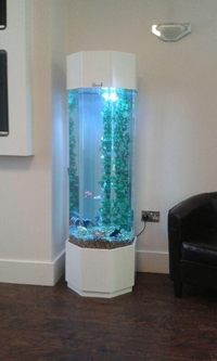 New Deeper Aquarium